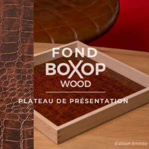 fond-croco-marron-presentation-lunette