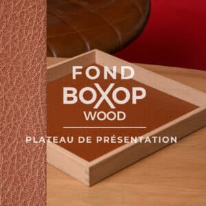 fond-camel-presentation-lunette